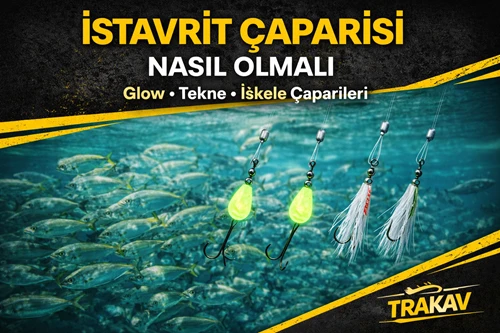 İstavrit Çaparisi Nasıl Olmalı? (Detaylı Rehber)