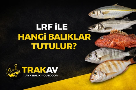 LRF ile Hangi Balıklar Tutulur?