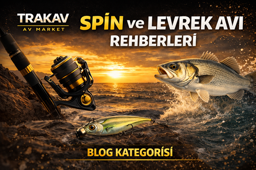  Spin ve Levrek Avı Rehberleri