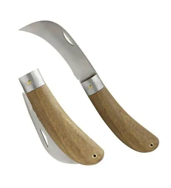 Aşı Bıçağı Eğri Uçlu Ara Çakı Bağ Bıçağı Paslanmaz Çelik 21 cm Aşı Bıçağı Eğri Uçlu Ara Çakı Bağ Bıçağı Paslanmaz Çelik 21 cm