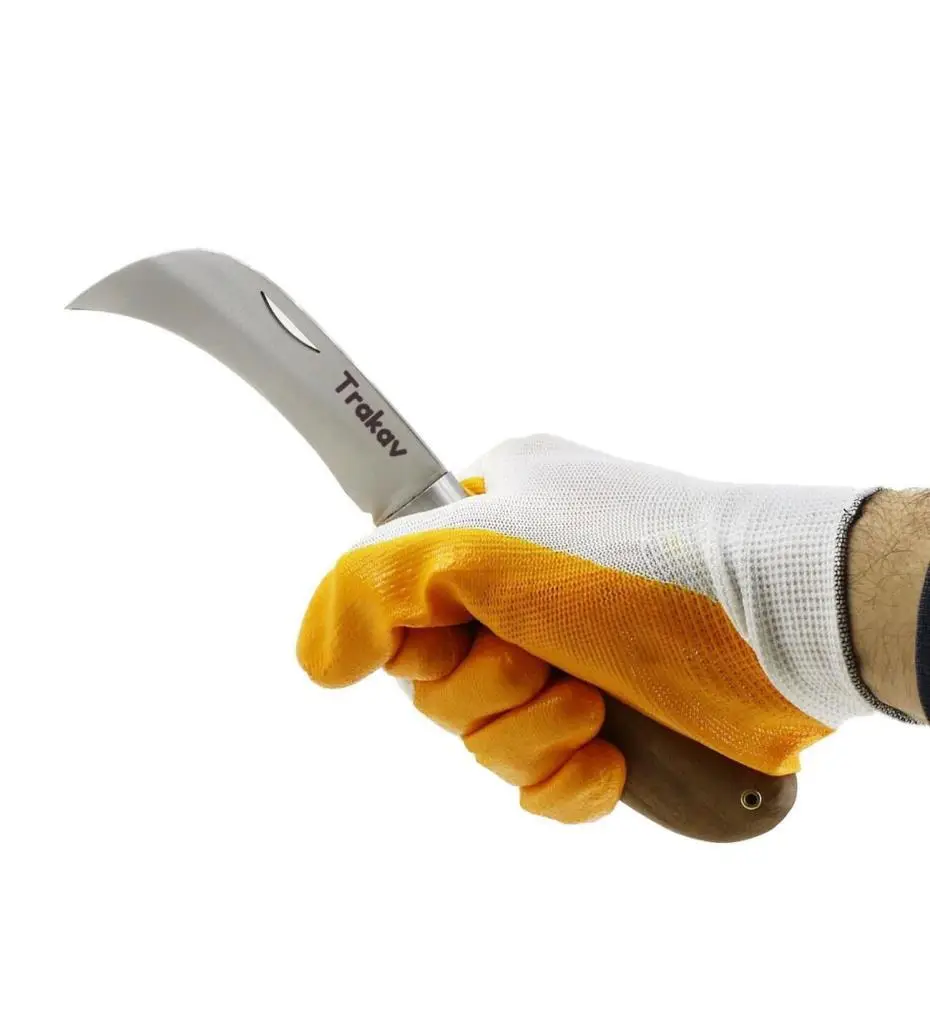 Aşı Bıçağı Eğri Uçlu Ara Çakı Bağ Bıçağı Paslanmaz Çelik 21 cm Aşı Bıçağı Eğri Uçlu Ara Çakı Bağ Bıçağı Paslanmaz Çelik 21 cm